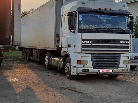 1999 DAF 95XF, белый, 850000 рублей, вид 2