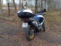 2009 Honda XL700V Transalp, белый, 735000 рублей - вид 3