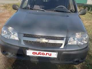 2011 Chevrolet Niva I Рестайлинг, серый, 490000 рублей, вид 1