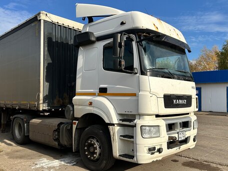 2019 КамАЗ 5490 NEO, белый, 1250000 рублей, вид 4