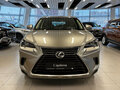 2019 Lexus NX 300 I Рестайлинг, серый, 3120000 рублей - вид 2