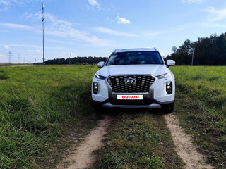2019 Hyundai Palisade I, белый, 3700000 рублей, вид 2
