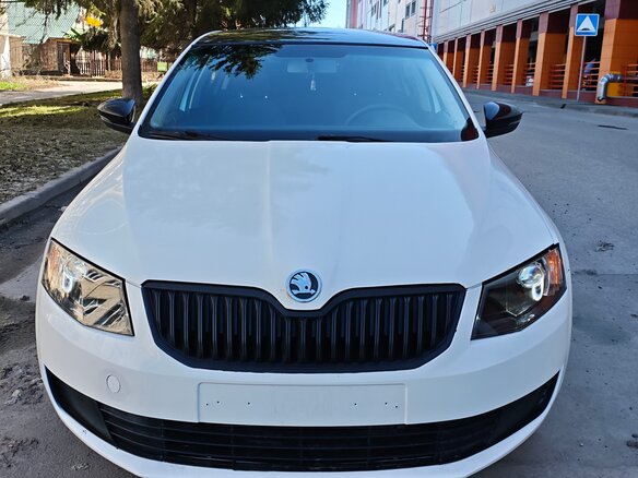 2014 Skoda Octavia III (A7), белый, 580000 рублей - вид 3