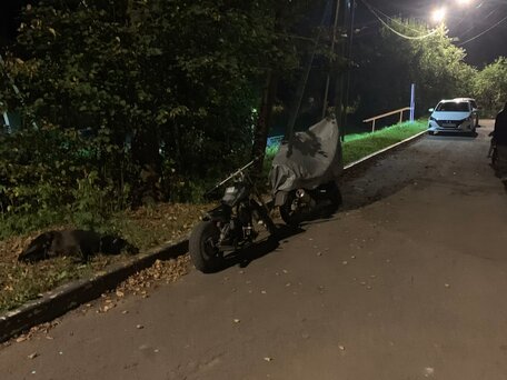 1992 Honda Jazz, чёрный, 45000 рублей, вид 1
