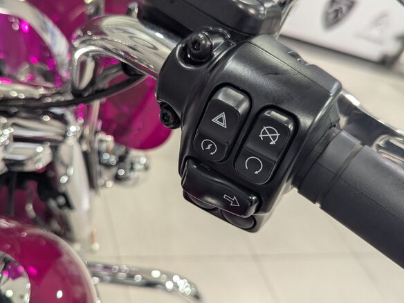 2023 Harley-Davidson Electra Glide, розовый, 3780000 рублей - вид 14