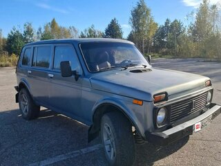 2004 Lada (ВАЗ) 2131 (4x4) 213105 I, серый, 320000 рублей, вид 3