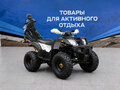 2026 Другие Мотовездеходы (другие), чёрный, 137700 рублей - вид 1