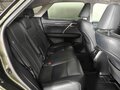 2020 Lexus RX 300 IV Рестайлинг, зелёный, 4820000 рублей - вид 9