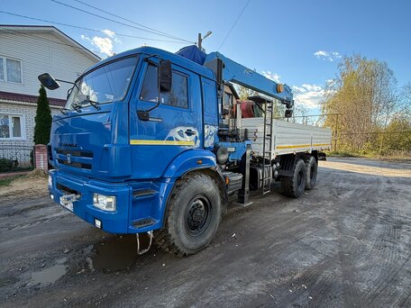 2010 КамАЗ 43118, синий, 4800000 рублей, вид 2