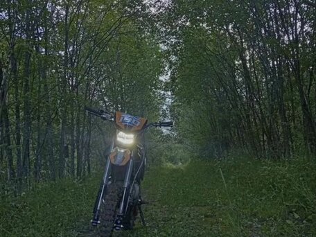 2025 Sharmax Sport, оранжевый, 109000 рублей, вид 1