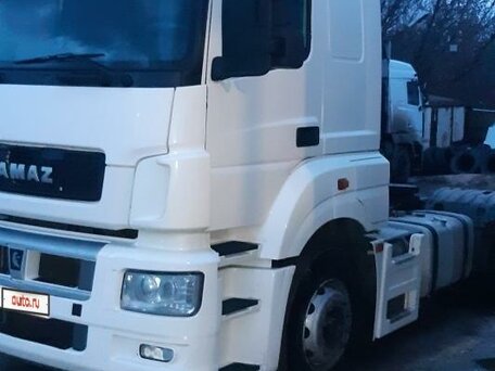 2016 КамАЗ 5490 NEO, белый, 2150000 рублей, вид 1