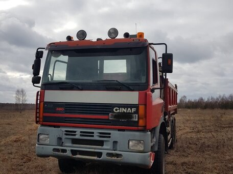 2001 Ginaf M 3331, красный, 2800000 рублей, вид 2