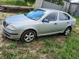 2005 Skoda Octavia II (A5), серый, 290000 рублей, вид 1