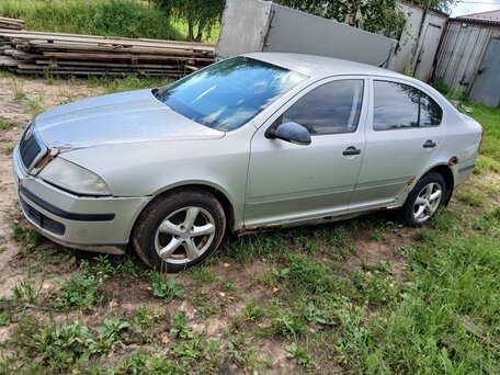 2005 Skoda Octavia II (A5), серый, 290000 рублей, вид 1
