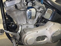 1999 Harley-Davidson Softail Custom, синий, 640000 рублей - вид 2