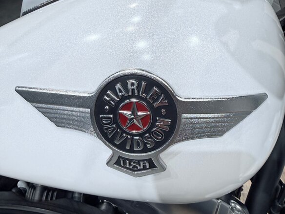 2011 Harley-Davidson Fat Boy, белый, 1399000 рублей - вид 36