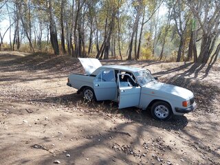 1995 ГАЗ 31029 «Волга», серый, 120000 рублей, вид 5