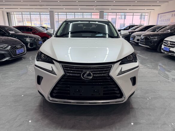 2020 Lexus NX 200 I Рестайлинг, белый, 3115007 рублей - вид 1
