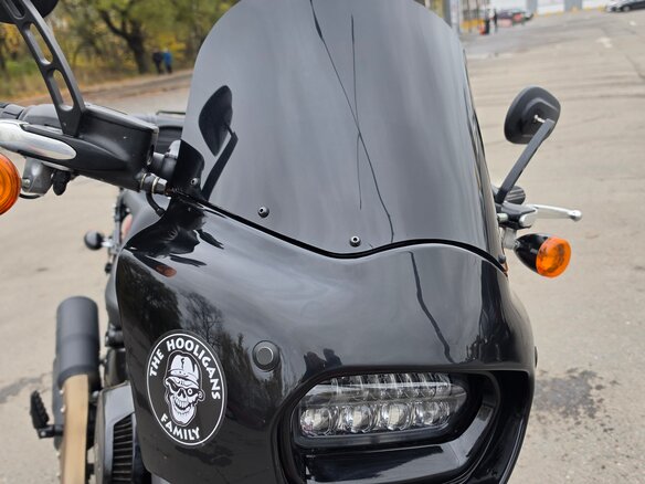 2019 Harley-Davidson Fat Bob, красный, 2500000 рублей - вид 7