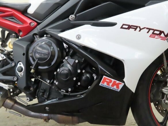 2010 Triumph Daytona 675, белый, 849000 рублей - вид 18