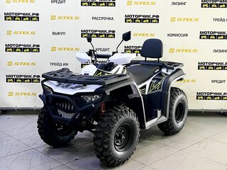 2025 Bashan Explorer 300, белый, 339000 рублей, вид 1