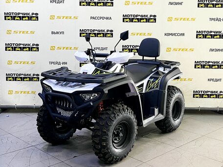2025 Bashan Explorer 300, белый, 339000 рублей, вид 1