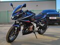 2022 Bajaj Pulsar N250, чёрный - вид 10