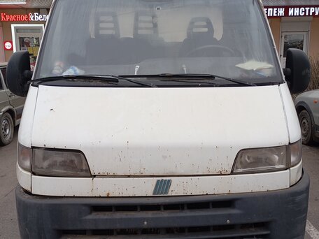 1994 Fiat Professional Ducato, белый, 700000 рублей, вид 3