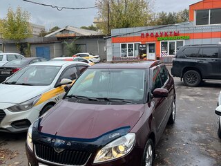 2010 Skoda Fabia II Рестайлинг, красный, 715000 рублей, вид 2
