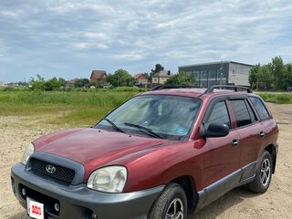 2001 Hyundai Santa Fe I, пурпурный, 610000 рублей, вид 1
