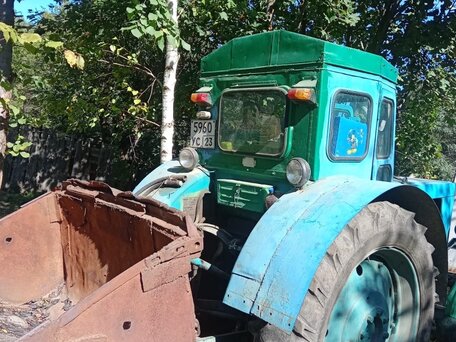 1983 ЛТЗ Т-40АМ, 350000 рублей, вид 1