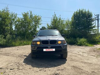 2003 BMW X5 3.0i I (E53) Рестайлинг, серый, 800000 рублей, вид 2