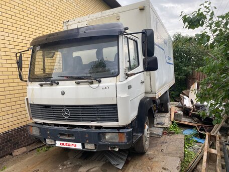 1992 Mercedes-Benz 817, белый, 680000 рублей, вид 2