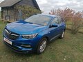 2018 Opel Grandland I (X), синий, 1288610 рублей - вид 6