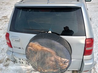 2002 Toyota RAV4 II (XA20), серый, 550000 рублей, вид 5