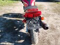 1999 Yamaha FZ6, красный, 275000 рублей