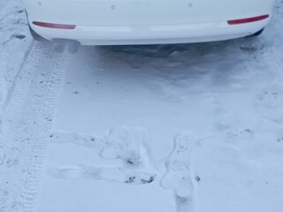 2011 Skoda Octavia II (A5) Рестайлинг, белый, 799000 рублей, вид 1