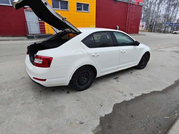 2014 Skoda Octavia III (A7), белый, 580000 рублей - вид 7