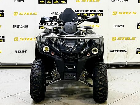 2025 Bison ATV200, чёрный, 219000 рублей, вид 5