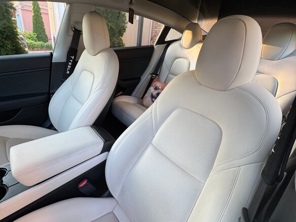 2018 Tesla Model 3 Mid Range I, красный, 2999000 рублей - вид 13