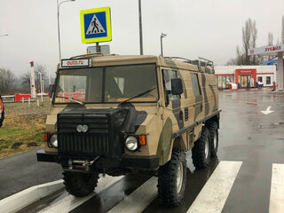 1977 Puch Pinzgauer 712, бежевый, 8000000 рублей, вид 1