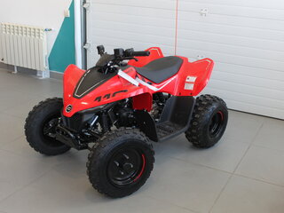 2024 CFMoto CFORCE 110, красный, 299900 рублей, вид 1