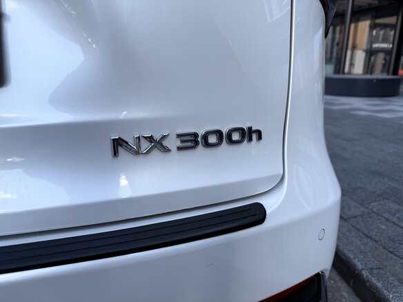 2019 Lexus NX 300h I Рестайлинг, белый, 3250000 рублей - вид 20