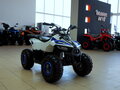 2021 Motoland ATV 110 Eagle, белый - вид 6
