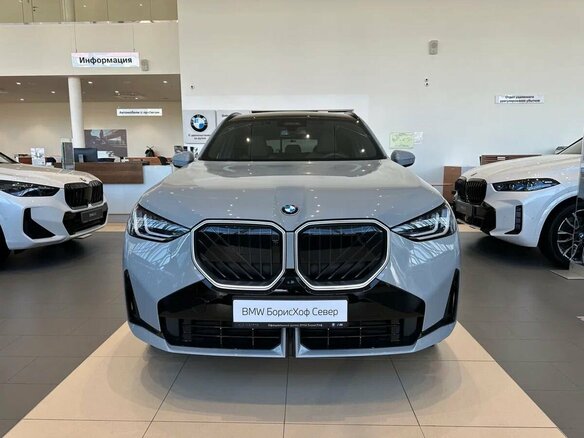 2026 BMW X3 20d xDrive IV (G45/G48), серый, 9900000 рублей - вид 1