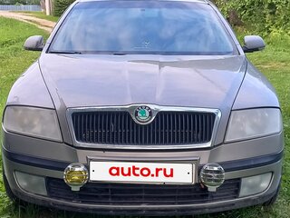 2007 Skoda Octavia II (A5), серый, 345000 рублей, вид 1