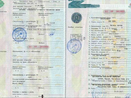 1993 ПАЗ 3205, белый, 66000 рублей, вид 5