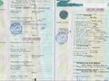 1993 ПАЗ 3205, белый, 66000 рублей - вид 4