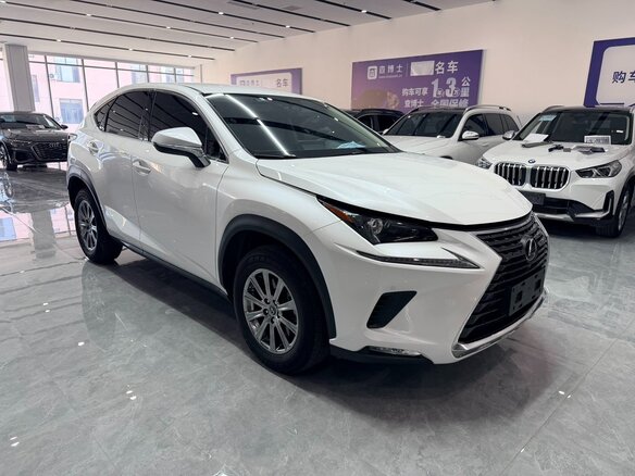 2020 Lexus NX 200 I Рестайлинг, белый, 3115007 рублей - вид 2