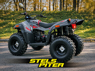 2026 Stels ATV-200 Леопард, серый, 260000 рублей, вид 4